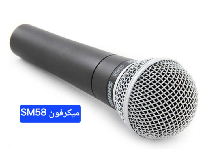میکرفون شور SM58S